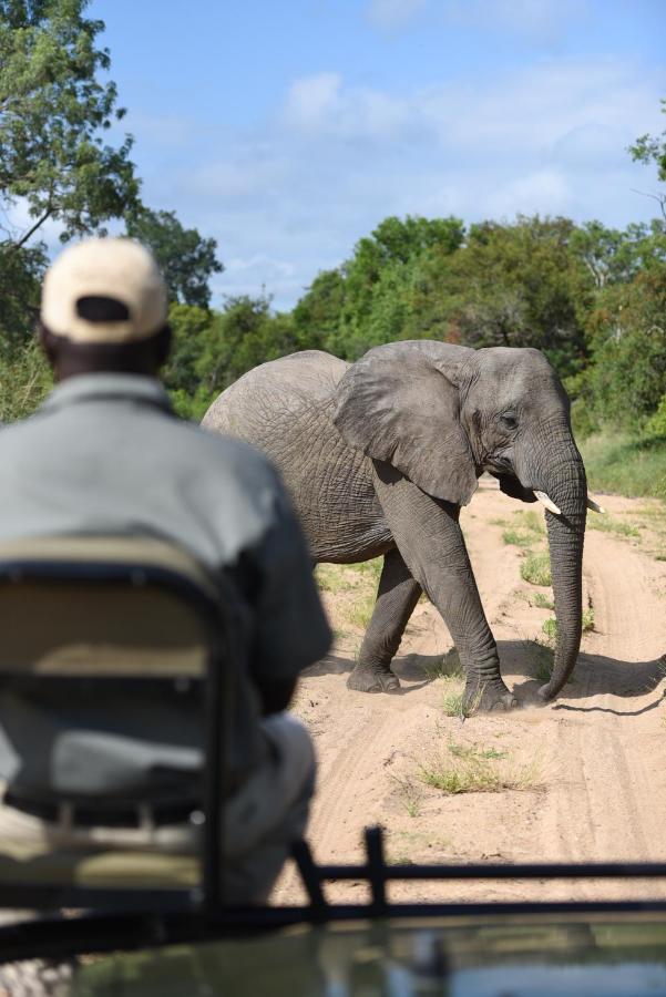 Shumbalala Game Lodge Wildreservat Thornybush Exterior foto