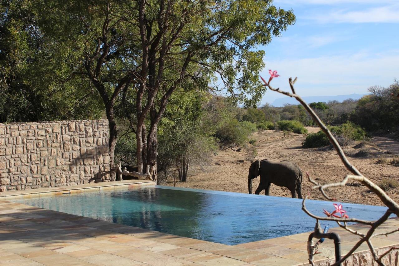 Shumbalala Game Lodge Wildreservat Thornybush Exterior foto